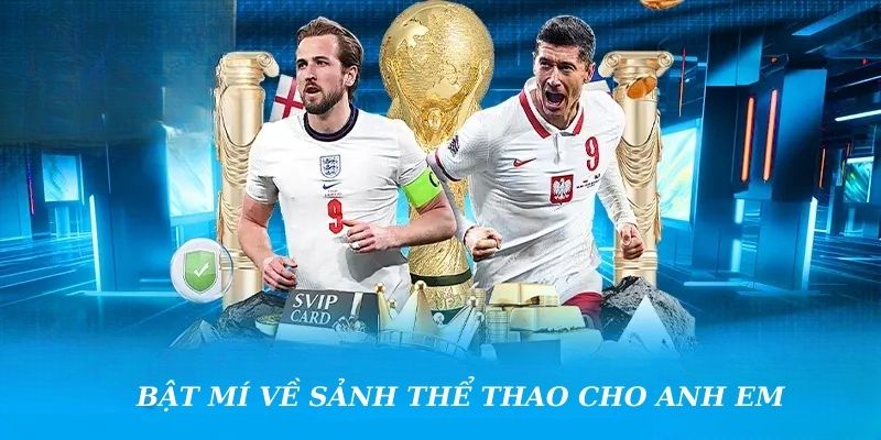 Thể Thao 79king – Thế Giới Giải Trí Đỉnh Cao Nhất 2025 Thể Thao 79king – Thế Giới Giải Trí Đỉnh Cao Nhất 2025